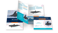 Adopt a Marine Animal by Pacific Whale Foundation