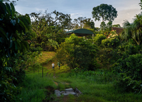 Lush permaculture