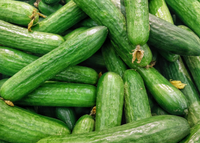 cucumbers